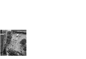 Protagonist