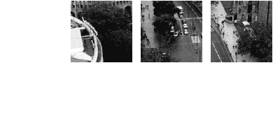 Profession